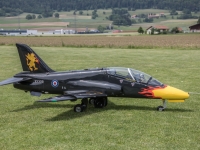 5D4A8615