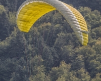 L5I0308-Modifier