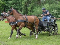 5D4A0044