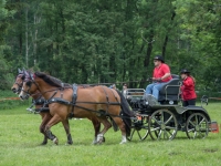 5D4A0174
