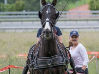 5D4A9765