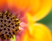 macro003-Modifier