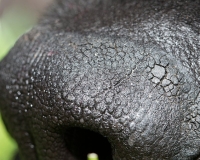 E7A0017