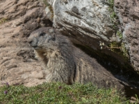 L5I0221