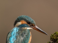 S9I0170