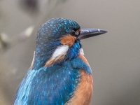 S9I0390