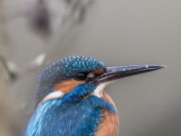S9I0394