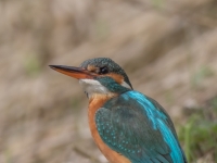 S9I0545