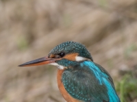 S9I0552