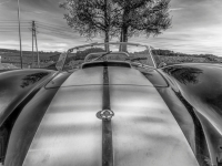 7R405591-Modifier