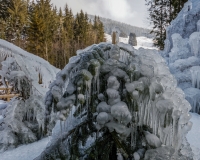 5D4A0041