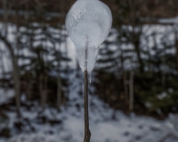 5D4A0046