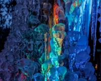 5D4A0064