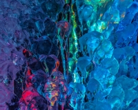 5D4A0065
