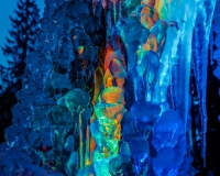 5D4A0066