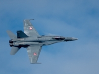 1RX02481
