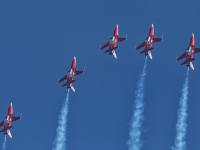 5D4A2421