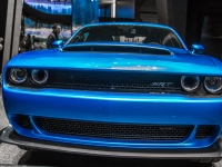 5D4A9379
