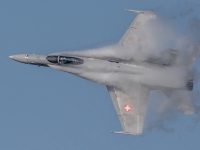 5D4A0364