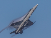 5D4A0395