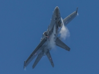5D4A0429