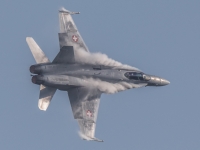 5D4A0454