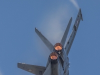 5D4A0551
