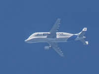 5D4A0724