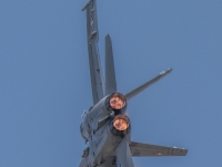 5D4A1353