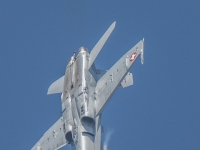 5D4A1462