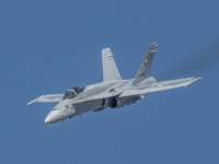 5D4A1545