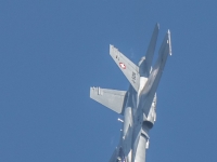 5D4A1629