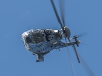 S9I1459