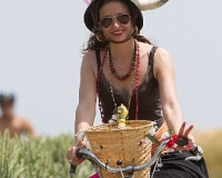 3SOLEX244