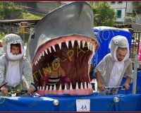 6-14juin010