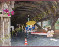 6-14juin073