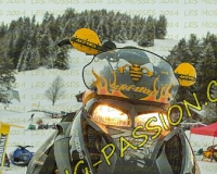 1MOSSES009