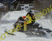 1MOSSES060