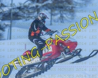 2MOSSES093
