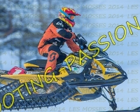 2MOSSES118