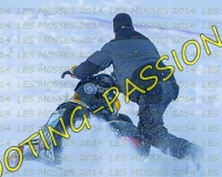 2MOSSES136