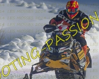 2MOSSES173
