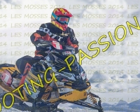2MOSSES176