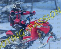 2MOSSES210