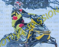 2MOSSES264