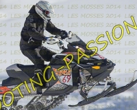 2MOSSES282