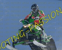 2MOSSES293