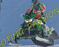 2MOSSES295