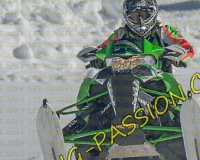 2MOSSES298