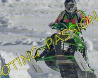 2MOSSES302